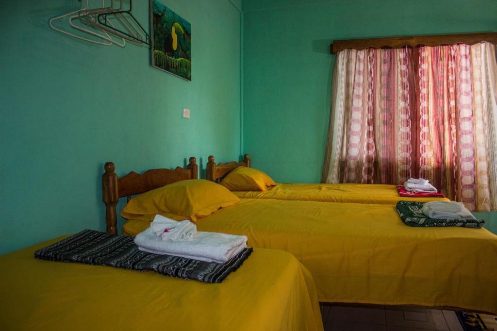Hilltop Horizon Guesthouse San Ignacio Eksteriør billede