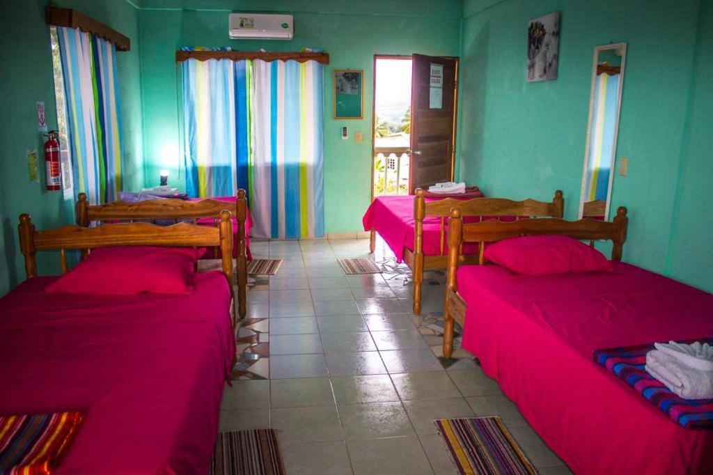 Hilltop Horizon Guesthouse San Ignacio Eksteriør billede